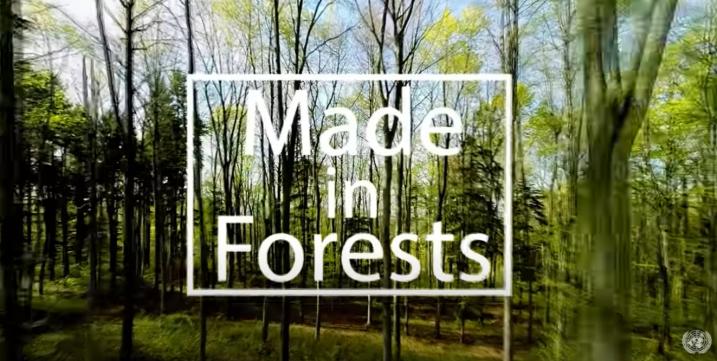 Made in Forests
