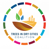 tree in dry cities coalition logo with SDGs circle 